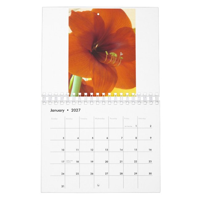Calendrier des fleurs 2013 (Jan 2027)