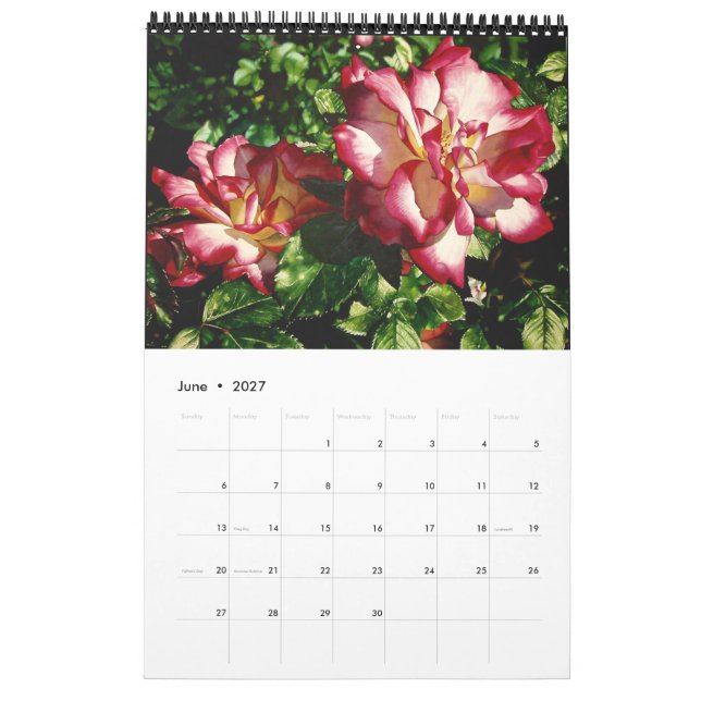 Calendrier des fleurs aquarelles (Jun 2027)