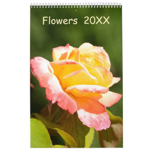 Calendrier des fleurs de 12 mois