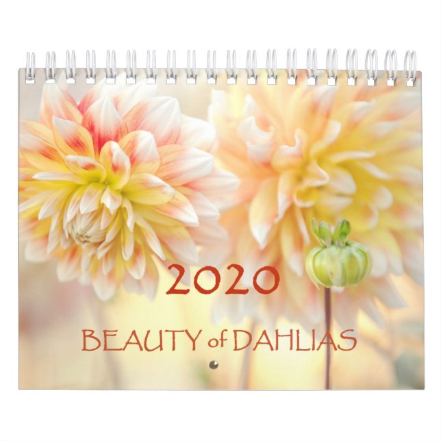 Calendrier des fleurs de la Beauté de Dahlias 2020 (Protection)