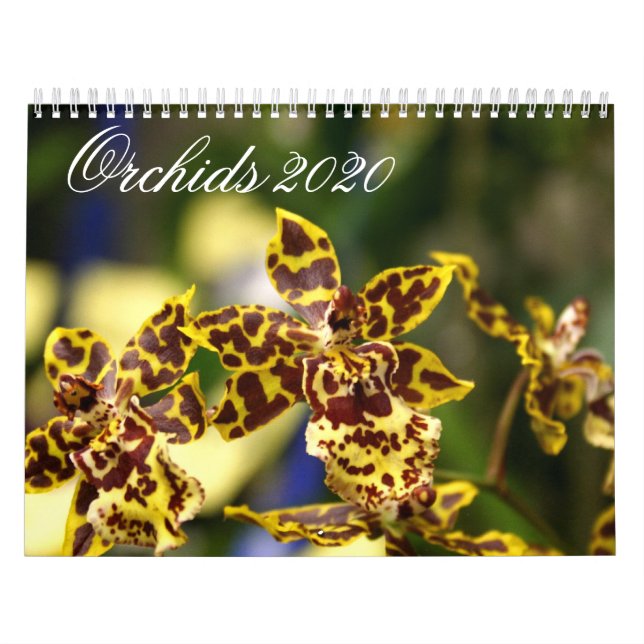 Calendrier des fleurs d'orchidées 2020 (Protection)