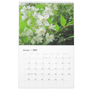 Calendrier des fleurs du jardin