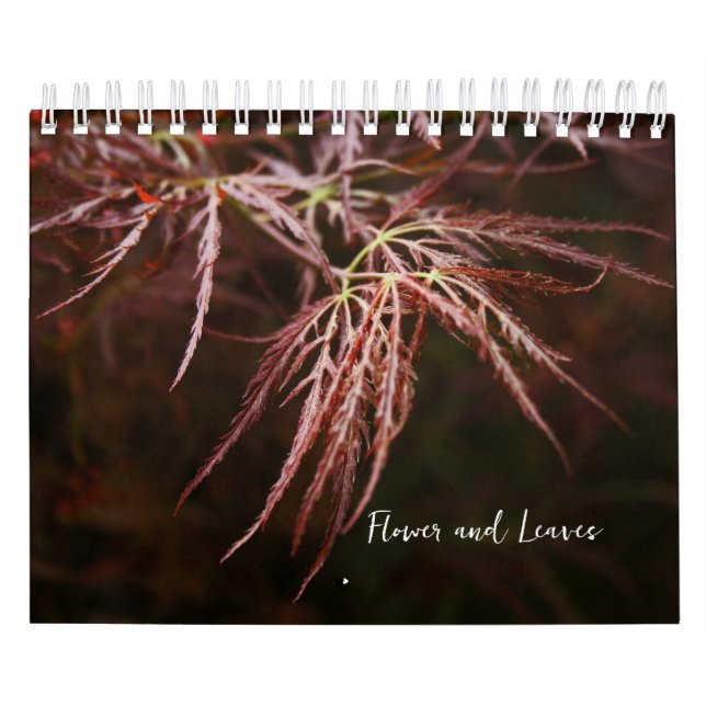 Calendrier des fleurs et des Feuilles (Protection)
