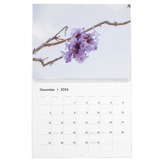Calendrier des fleurs Jacaranda (Dec 2026)