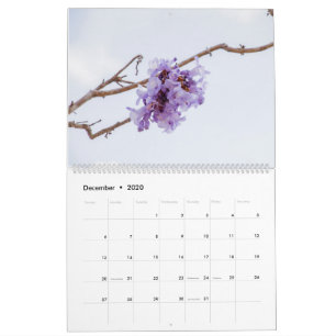 Calendrier des fleurs Jacaranda