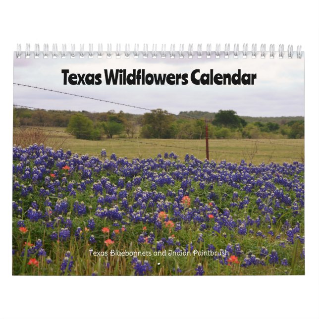 Calendrier des fleurs sauvages du Texas (Protection)