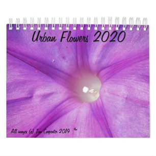 Calendrier des fleurs urbaines 2020
