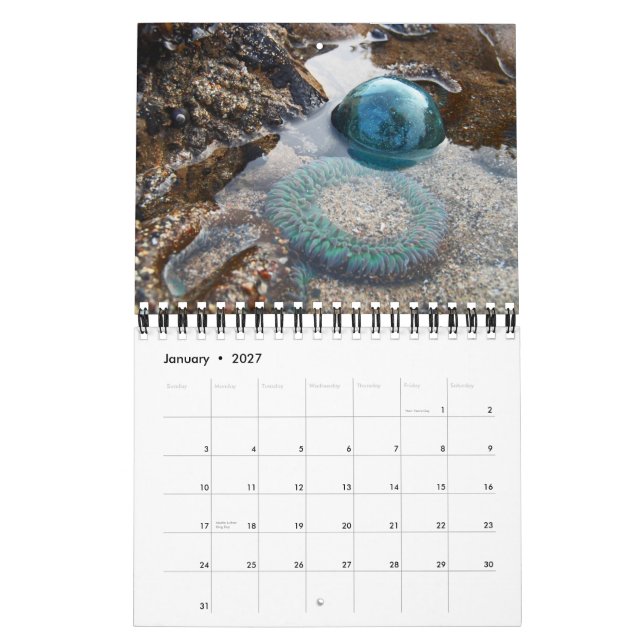 Calendrier des flotteurs de verre japonais 2013 (Jan 2027)