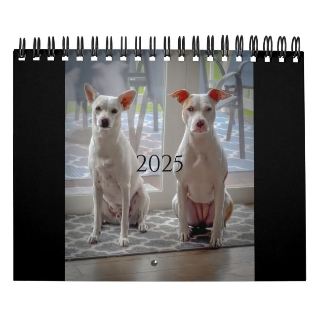 Calendrier des gâteaux-ronds et des milk-shakes (Protection)