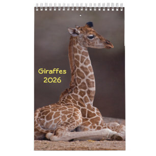 Calendrier des girafes