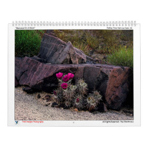 Calendrier des images de piste