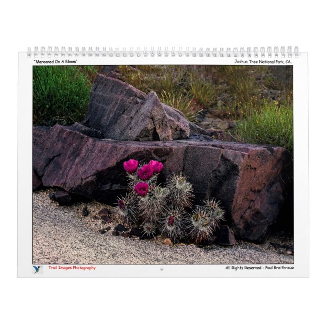 Calendrier des images de piste (Protection)