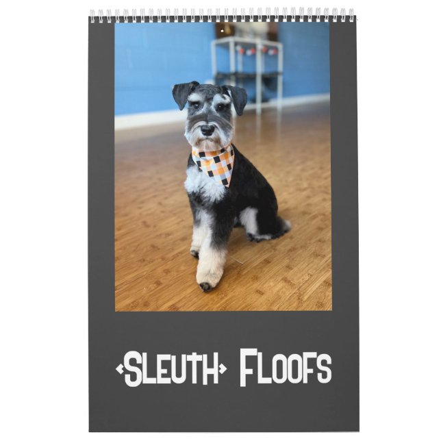 Calendrier des inondations de Sleuth o' (Protection)