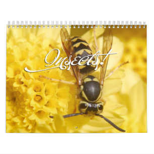 Calendrier des insectes 2013
