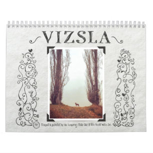 Calendrier des journaux de VIZSLA