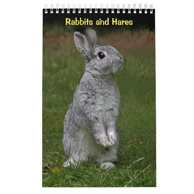 Calendrier des lapins et des lièvres (Protection)