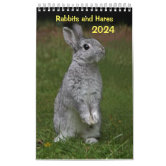 Calendrier Lapins 2024