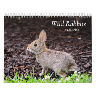 Calendrier des lapins sauvages