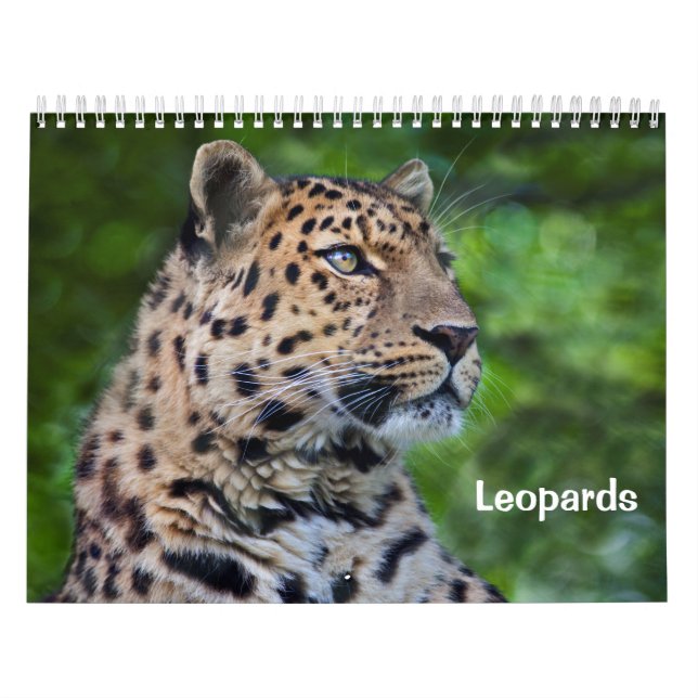 Calendrier des léopards (Protection)