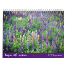 Calendrier des lupines de Sugar Hill