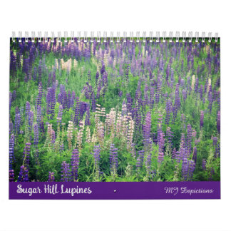 Calendrier des lupines de Sugar Hill