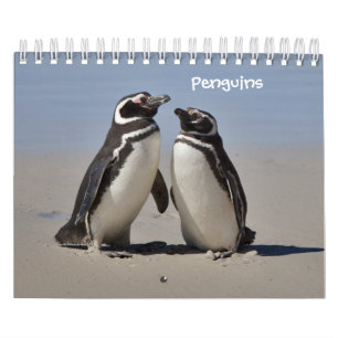 Calendrier des Manchots