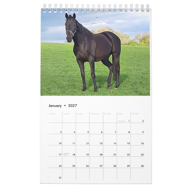 Calendrier des mares et des poulains 2023 (Jan 2027)