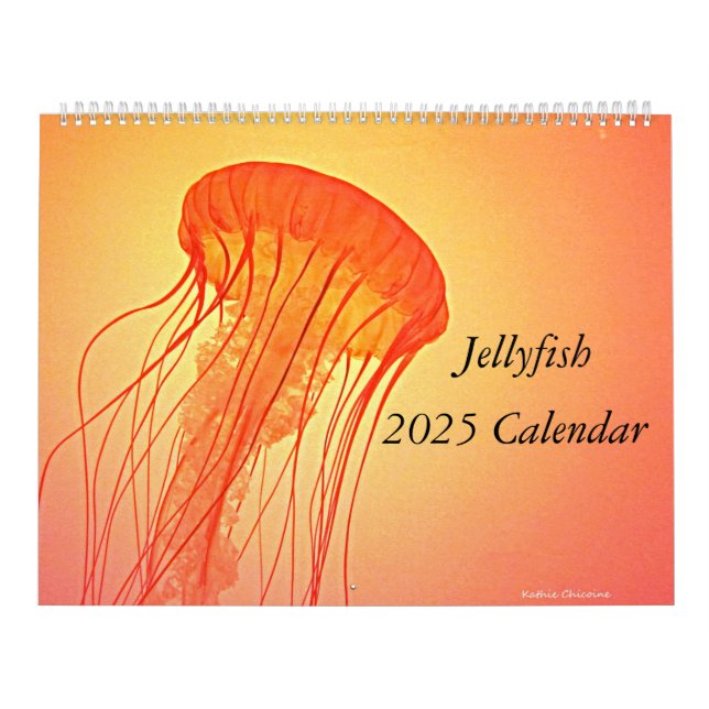 Calendrier des méduses 2025 (Protection)