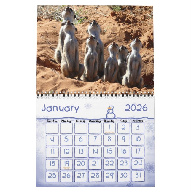 Calendrier des Meerkats 2011 KMP (Jan 2026)