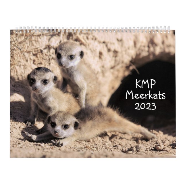 Calendrier des Meerkats KMP 2023 (Protection)
