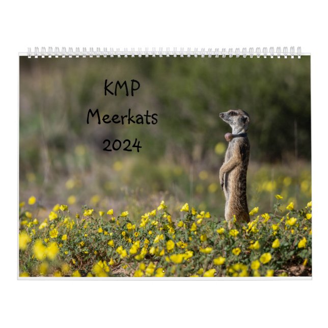 Calendrier des Meerkats KMP 2024 (Protection)