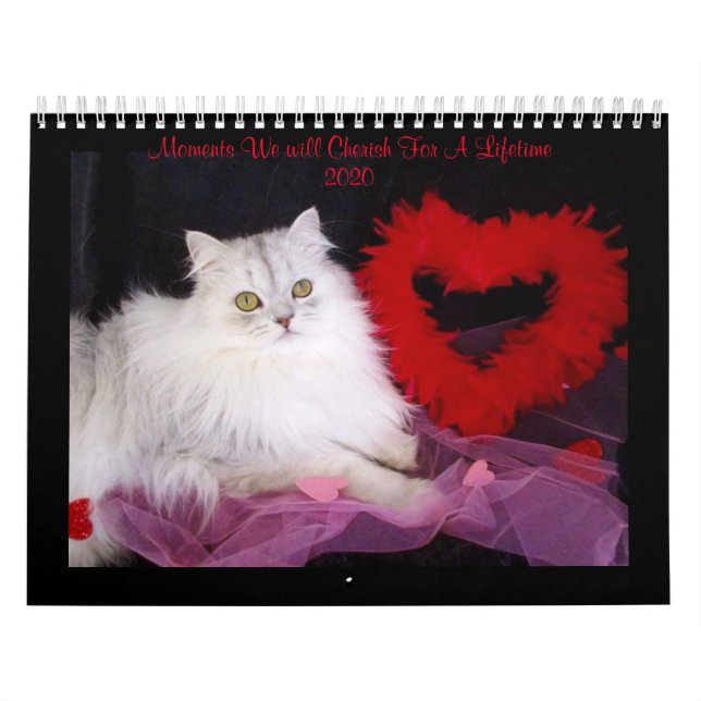 Calendrier des moments spéciaux de iCatz (Protection)