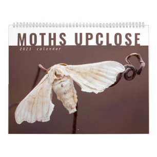 CALENDRIER DES MOTHS UPCLOSE 2021