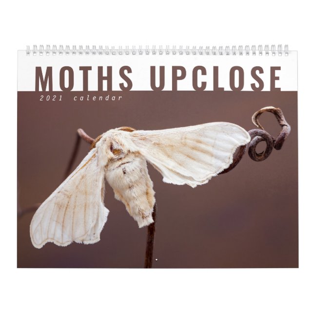 CALENDRIER DES MOTHS UPCLOSE 2021 (Protection)
