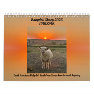 Calendrier des moutons Babydoll Southdown 2026 NAB