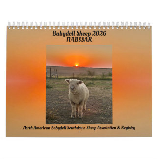 Calendrier des moutons Babydoll Southdown 2026 NAB