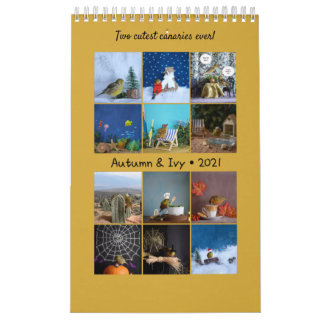 Calendrier des Murs 2021 Oiseaux mignons Animaux C