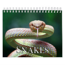 Calendrier des murs de collecte des serpents