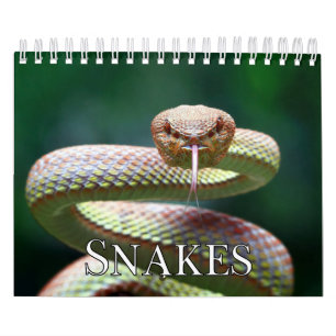 Calendrier des murs de collecte des serpents
