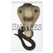 Calendrier des murs de collecte des serpents