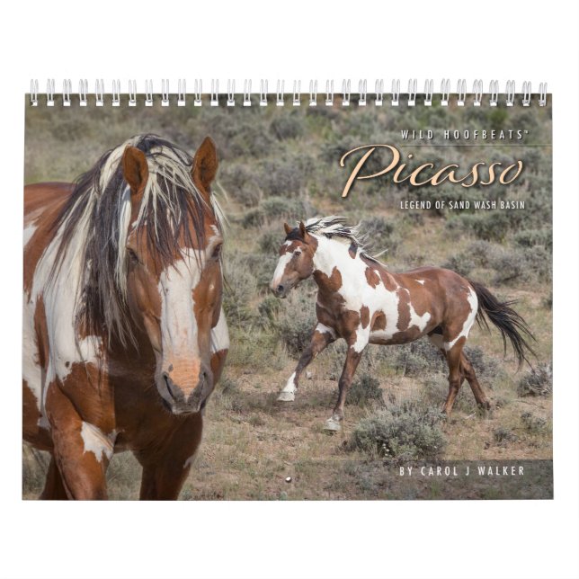 Calendrier des Murs de Picasso II (Protection)