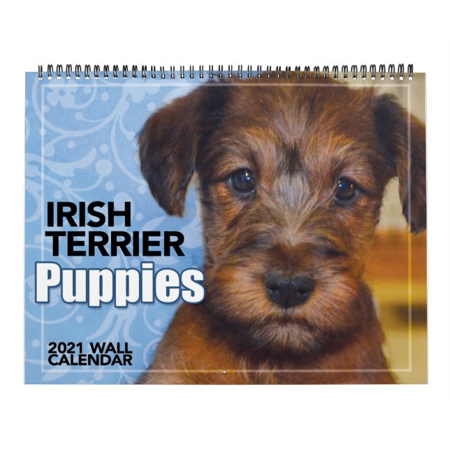 Calendrier des Murs de Terrier Puppies 2021 en Irl (Protection)