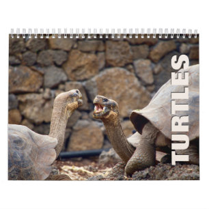 Calendrier des Murs de tortues