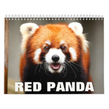 Calendrier des murs des pandas rouges