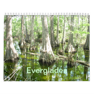 Calendrier des murs Everglades