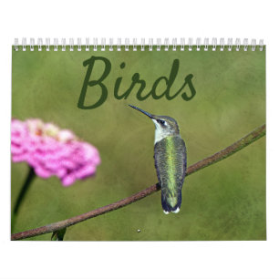 Calendrier des oiseaux