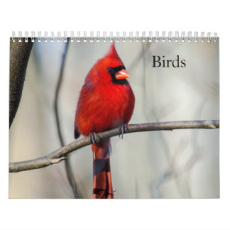 Calendrier des oiseaux