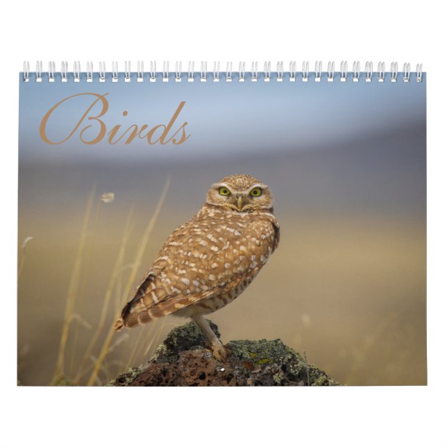 calendrier des oiseaux (Protection)