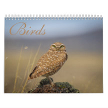 calendrier des oiseaux