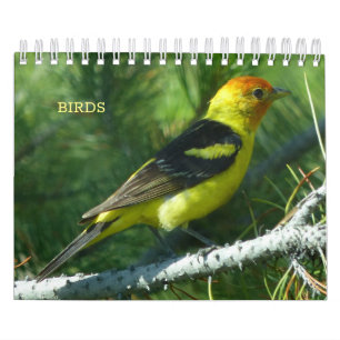 Calendrier des oiseaux